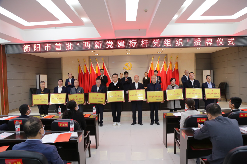 喜报！衡阳市图书馆学会党支部被授予“两新党建标杆党组织”
